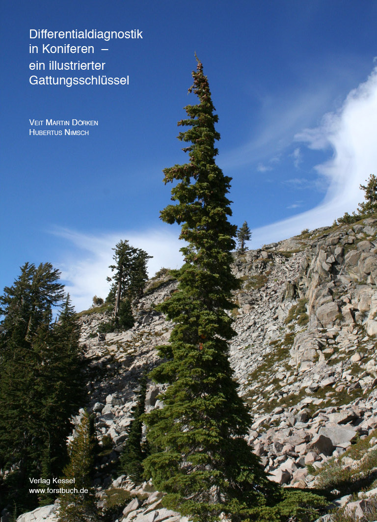 DoerkenGymno D Umschlag