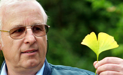 hn editorial start blog 250