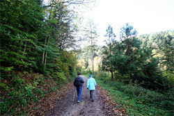 Spazierg&auml;nger im Naturpark