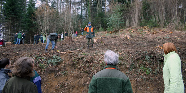 Pflanzaktion Abies nebrodensis auf Arterhaltungsfl&auml;che im Arboretum Freiburg-G&uuml;nterstal