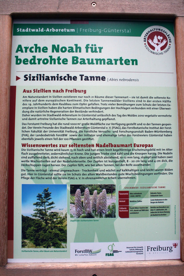 Tafel zur Arterhaltungsfl&auml;che 'Sizilien-Tanne'