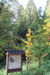 Braunkohlewald
