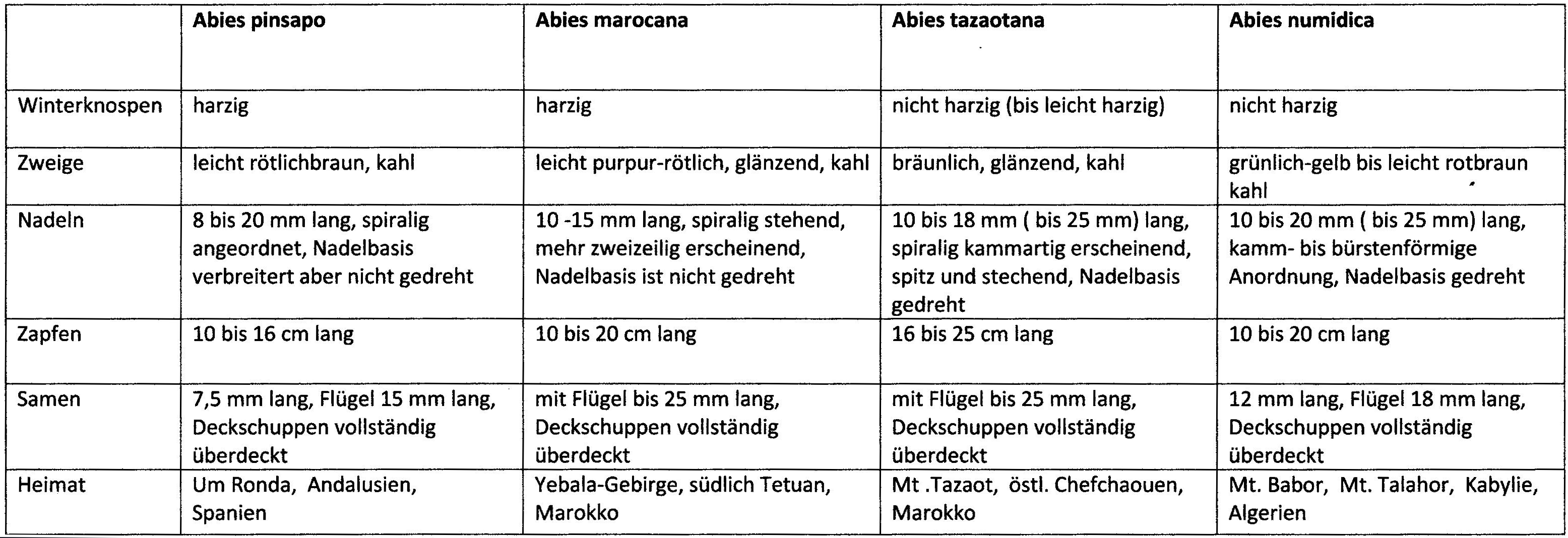06 abies tabelle