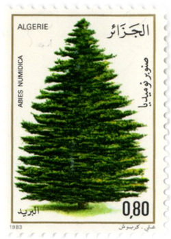 15 briefmarke