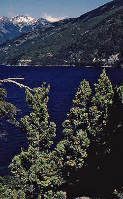 18 nationalpark los alerces hochlagen