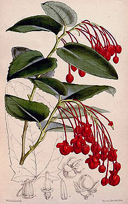 b06