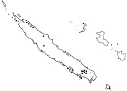 Parasitaxus usta - Verbreitungsgebiet