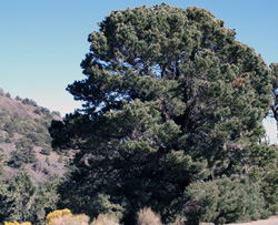 17 IMG 2986