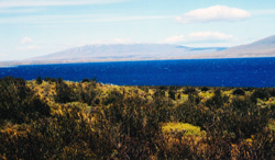 Lago Sarmiento