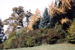 Bild-11