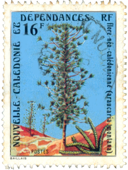 15 Briefmarke A montana timbr 250