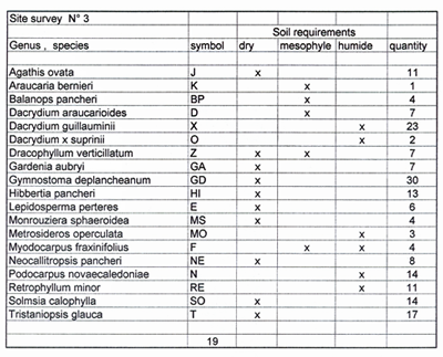 32 dacrydium x sample plot no 3 survey tab 400