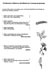 reference guide
